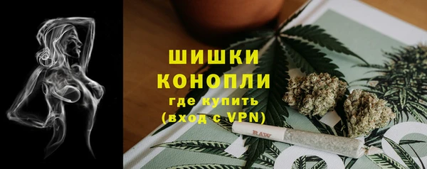 тгк Верея