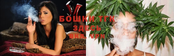 тгк Верея
